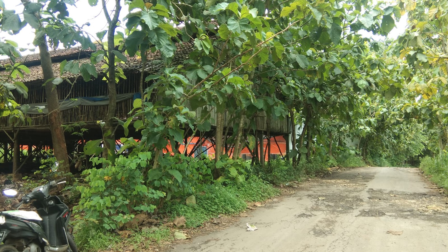 TANAH LUAS DI GIRING PALIYAN GUNUNG KIDUL JOGJA