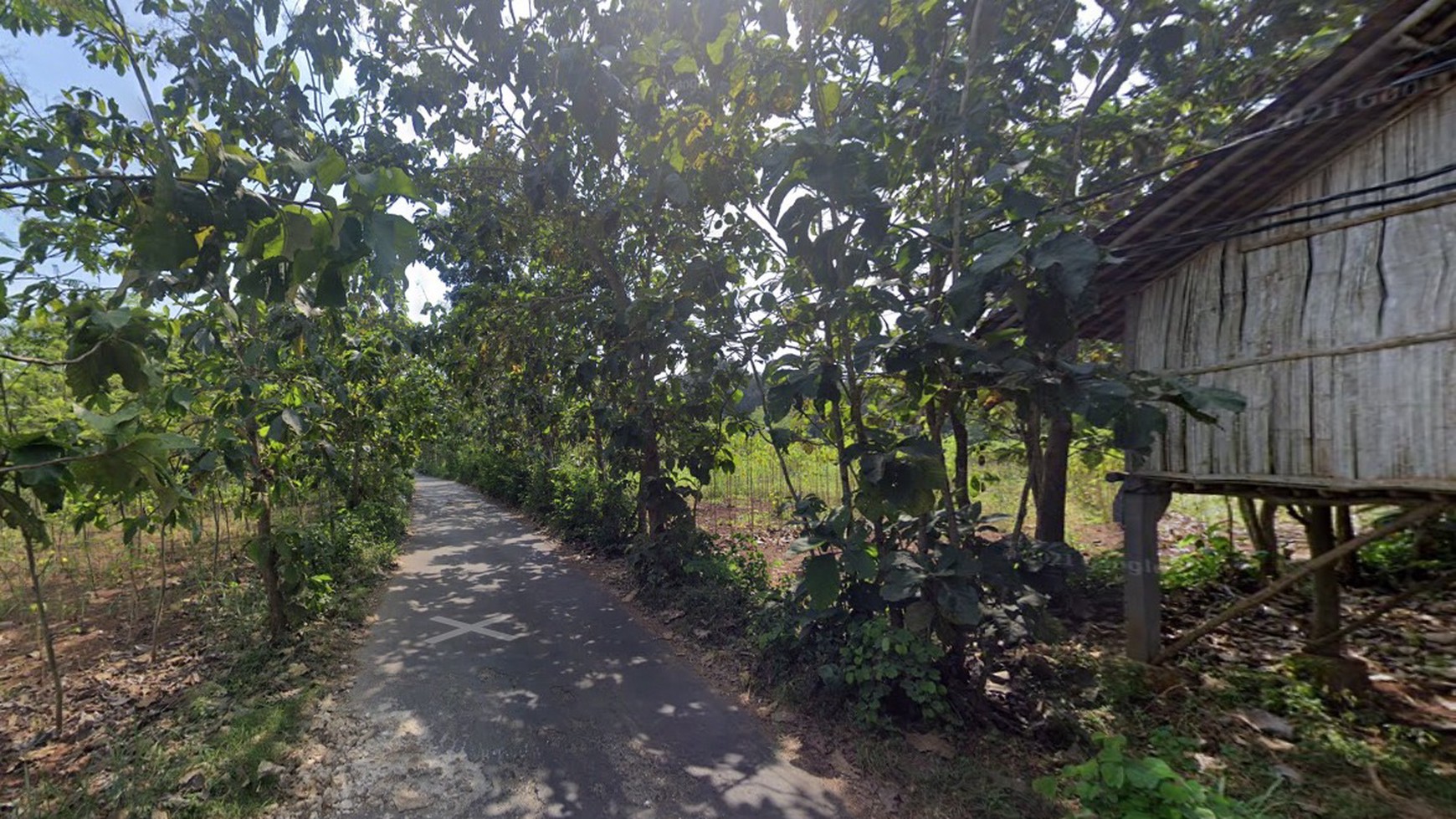 TANAH LUAS DI GIRING PALIYAN GUNUNG KIDUL JOGJA