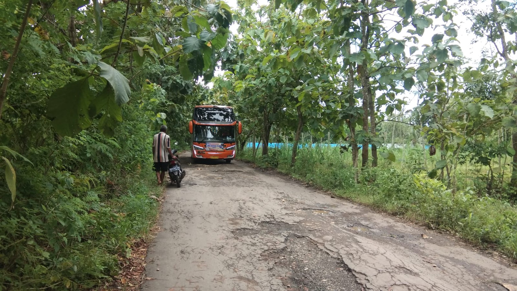 TANAH LUAS DI GIRING PALIYAN GUNUNG KIDUL JOGJA