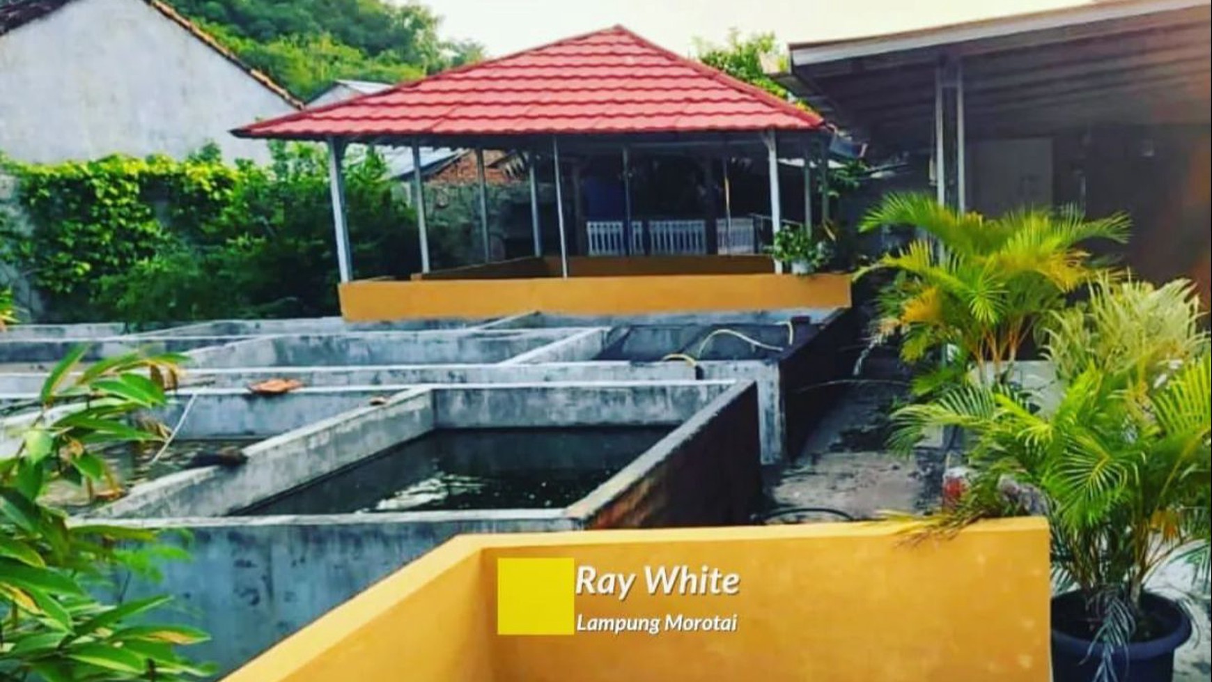 RUMAH MURAH DI KEDAMAIAN BANDAR LAMPUNG