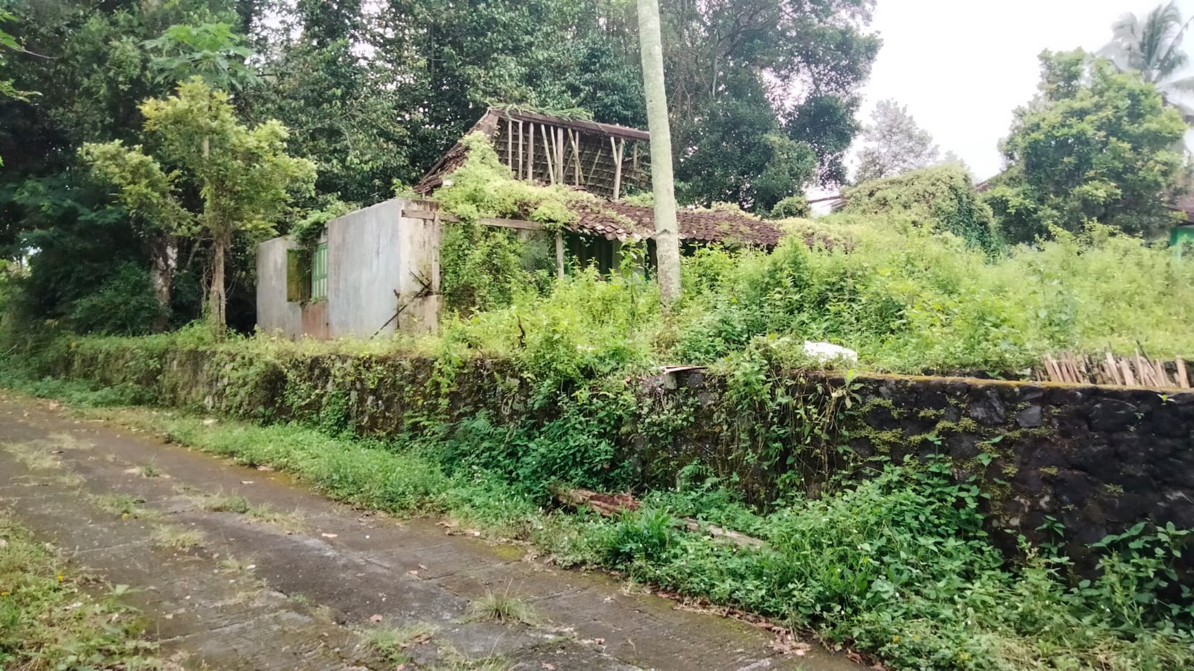 Butuh Lahan Untuk Villa/Homestay Cek Properti ini !!  View Sawah Di Jl Kaliurang Km 18