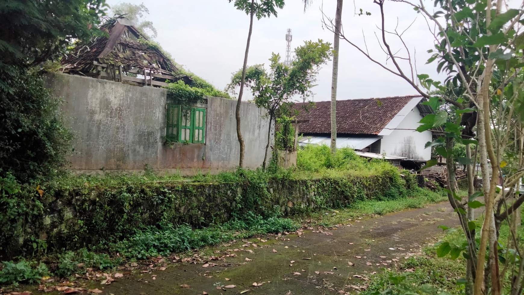 Butuh Lahan Untuk Villa/Homestay Cek Properti ini !!  View Sawah Di Jl Kaliurang Km 18