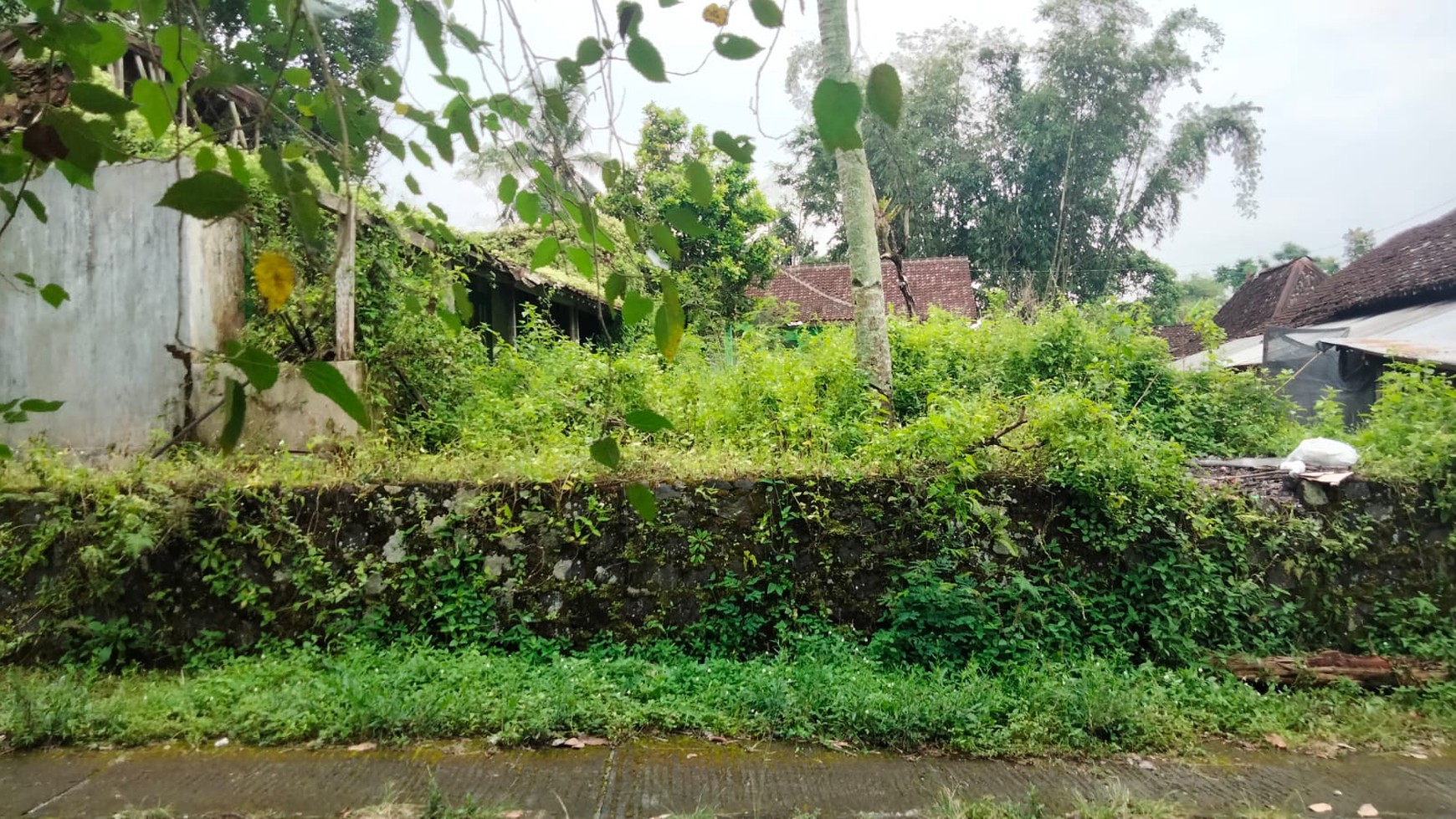 Butuh Lahan Untuk Villa/Homestay Cek Properti ini !!  View Sawah Di Jl Kaliurang Km 18