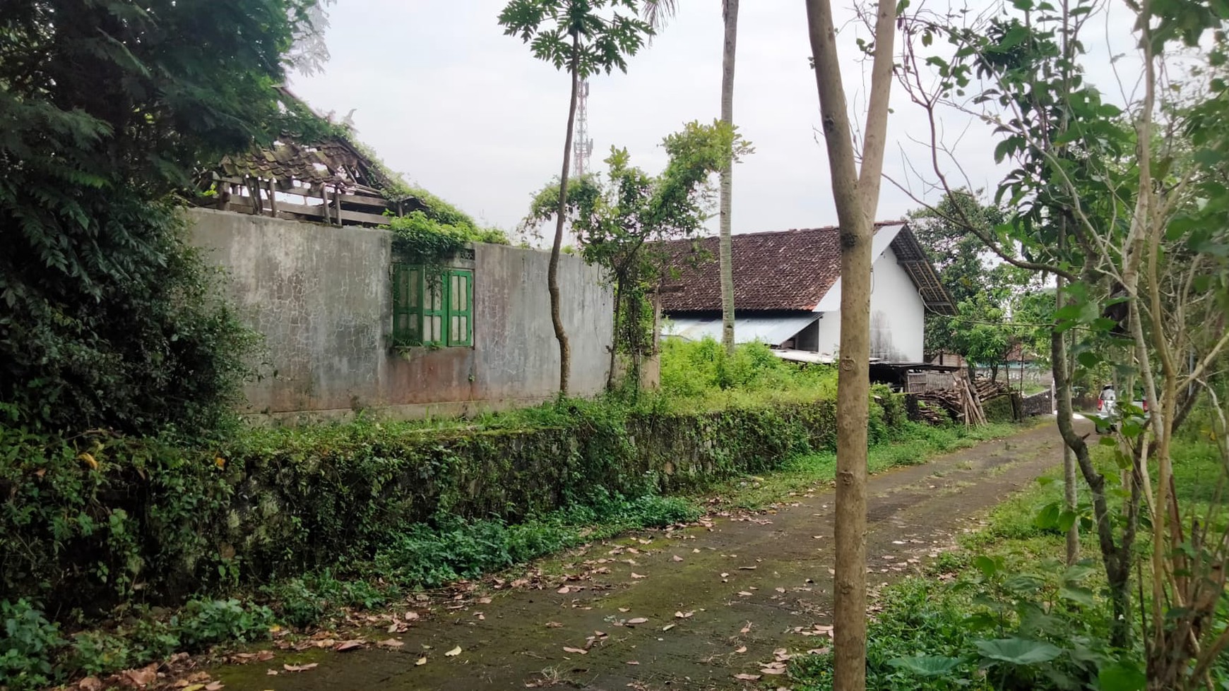 Butuh Lahan Untuk Villa/Homestay Cek Properti ini !!  View Sawah Di Jl Kaliurang Km 18