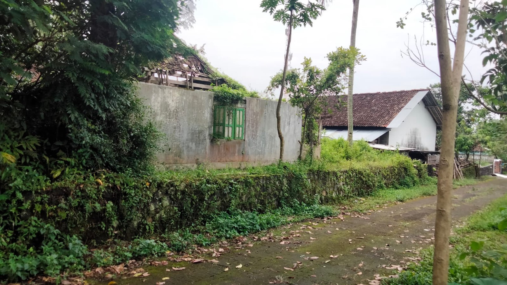 Butuh Lahan Untuk Villa/Homestay Cek Properti ini !!  View Sawah Di Jl Kaliurang Km 18