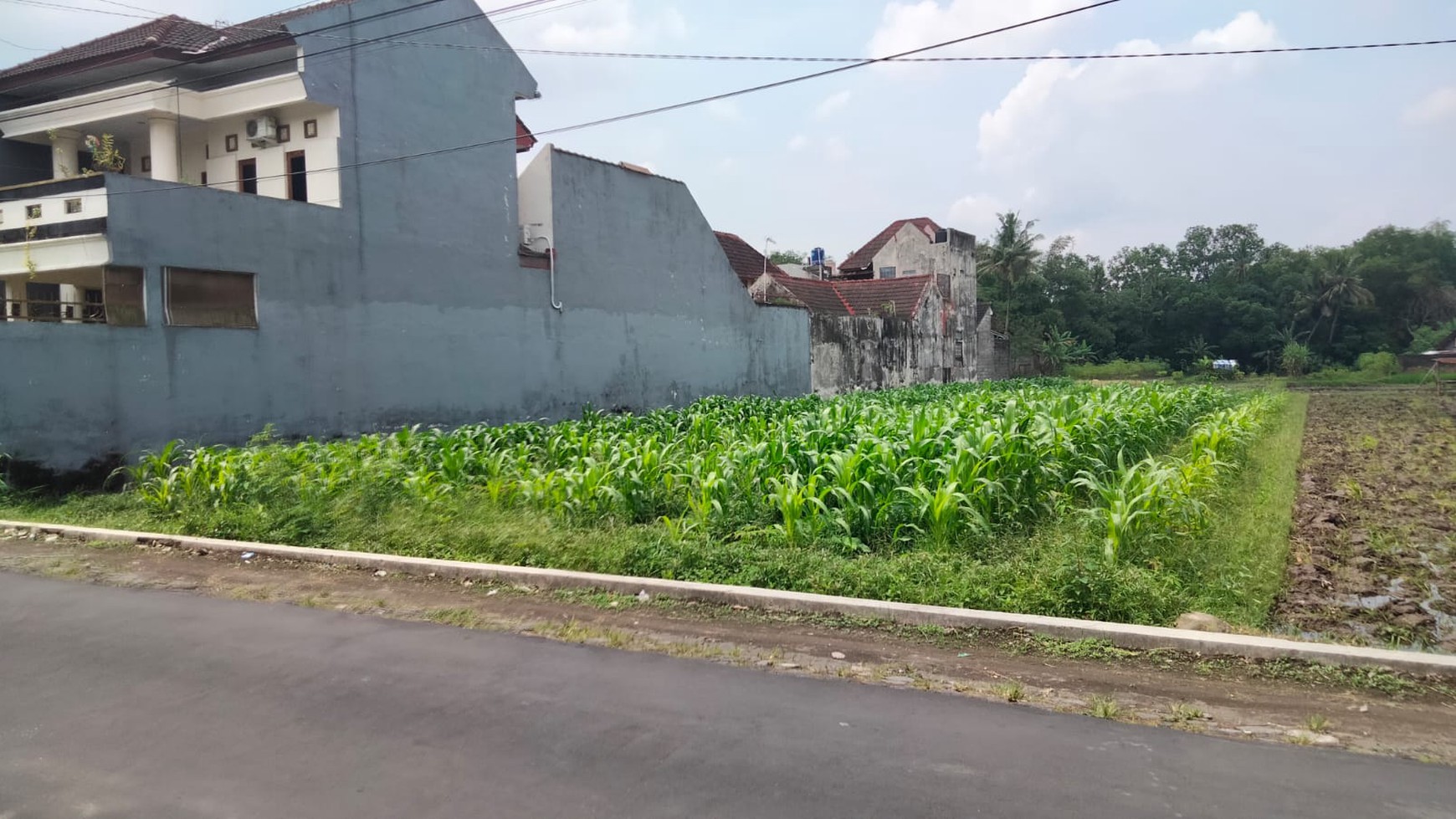 Tanah Sawah 500 Meter persegi Di Dekat Jl Kabupaten Gamping Sleman