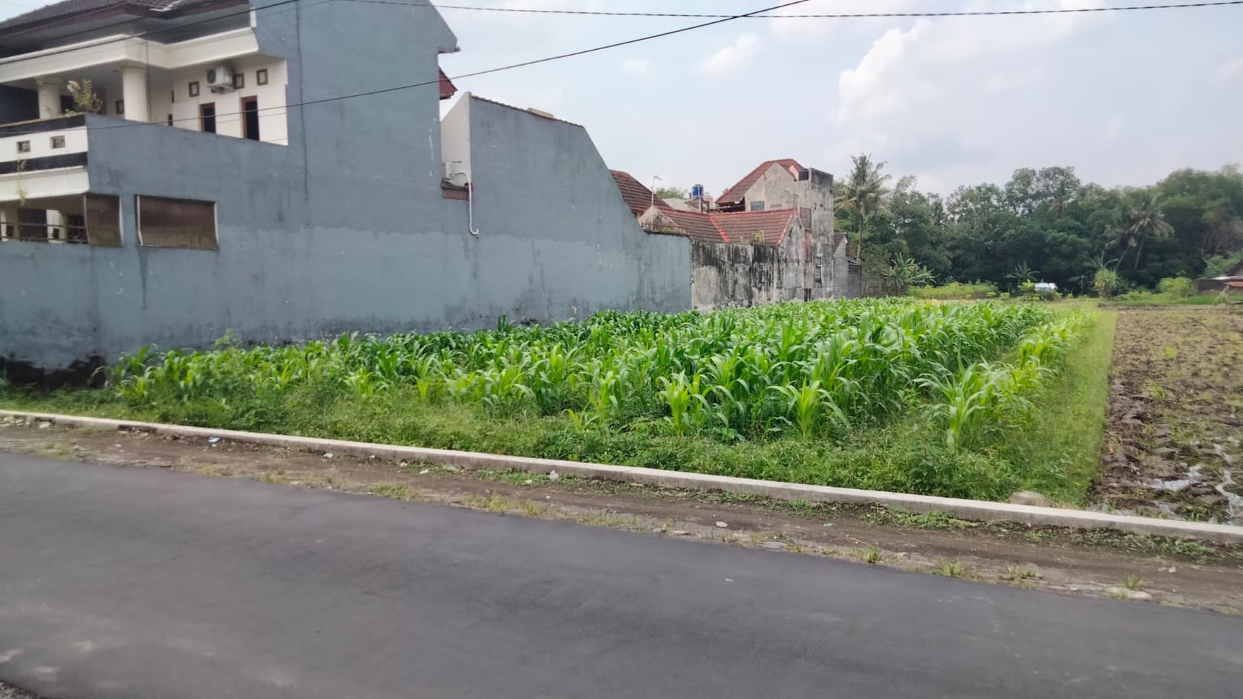 Tanah Sawah 500 Meter persegi Di Dekat Jl Kabupaten Gamping Sleman