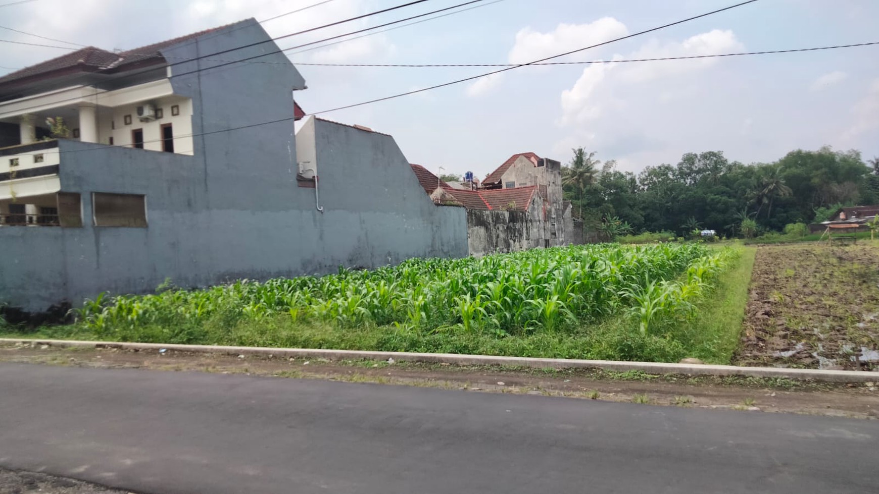 Tanah Sawah 500 Meter persegi Di Dekat Jl Kabupaten Gamping Sleman