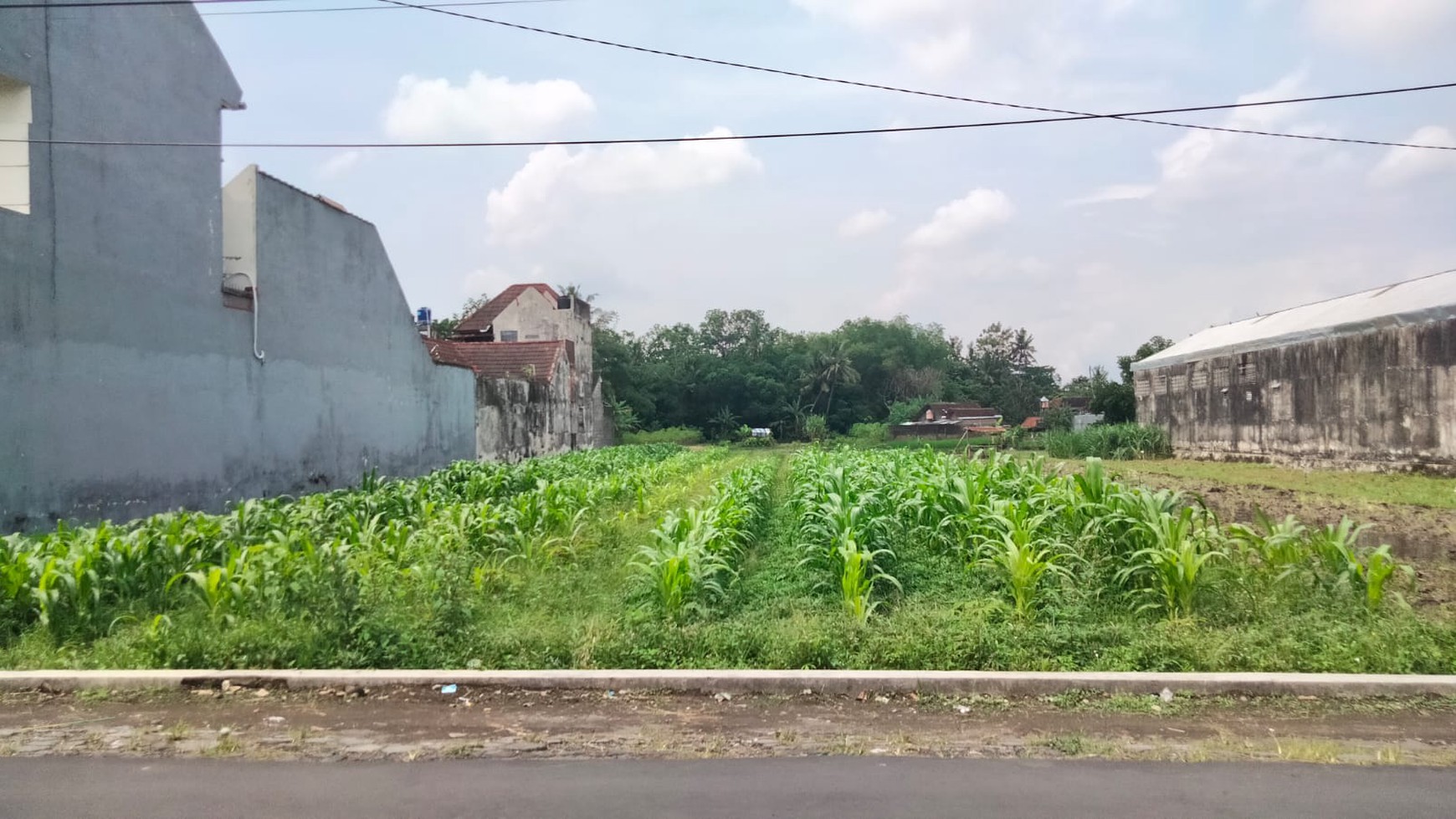 Tanah Sawah 500 Meter persegi Di Dekat Jl Kabupaten Gamping Sleman