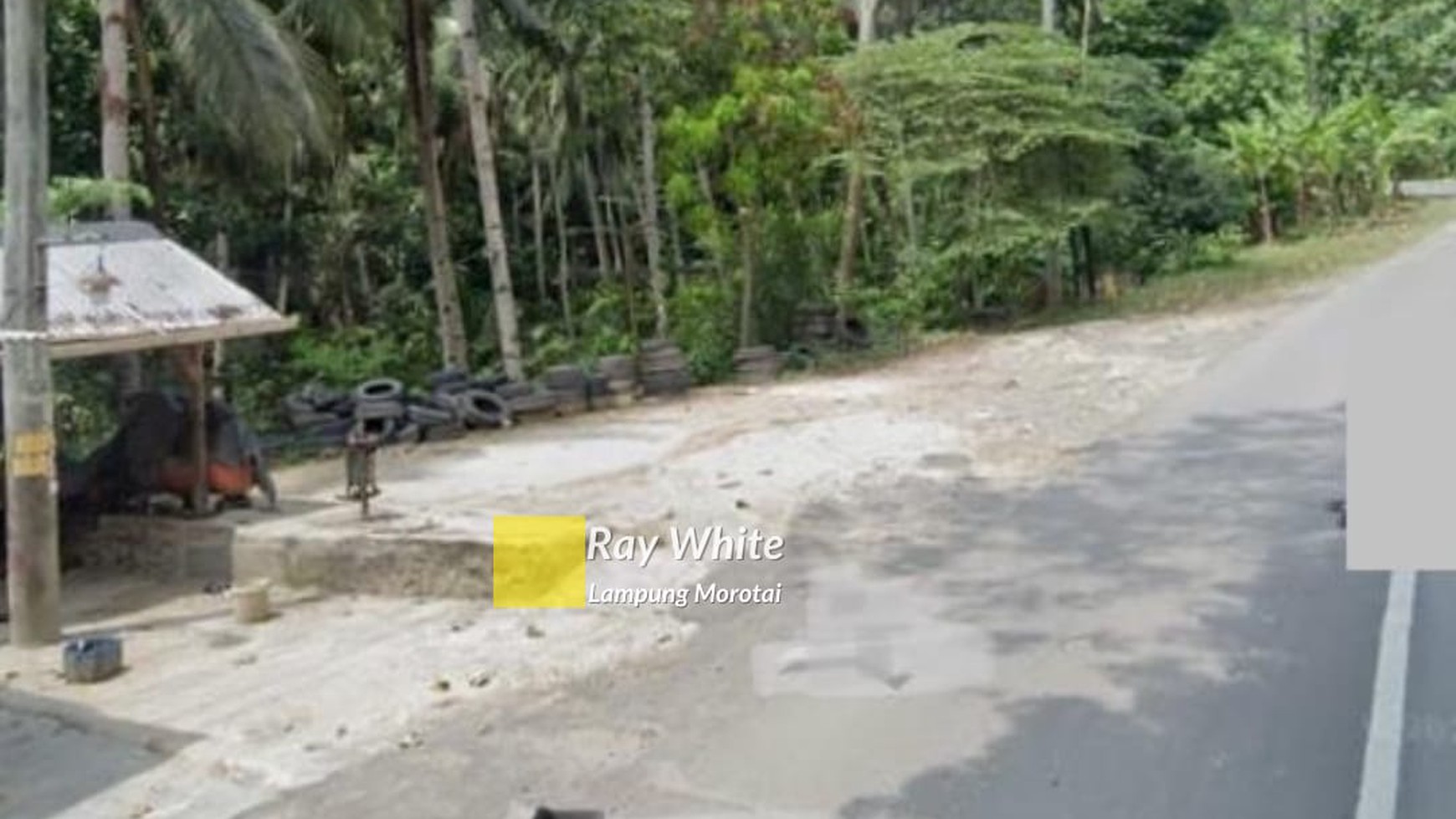 Dijual Tanah Perkebunan Di Desa Gebang yk