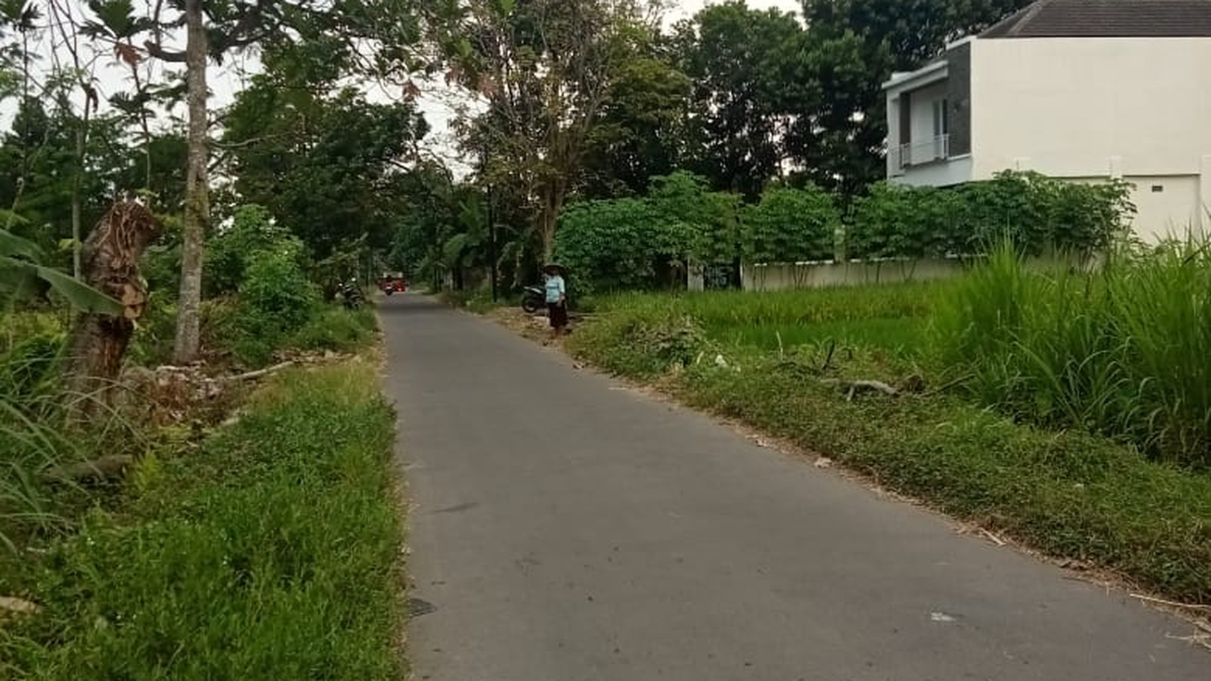 Tanah Sawah Seluas 978 Meter Persegi Di Dekat Jl Kebon Agung Sleman