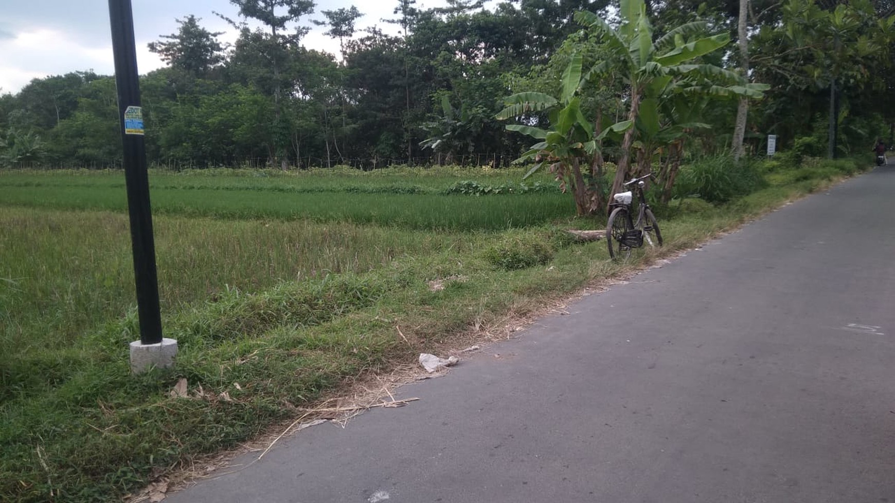 Tanah Sawah Seluas 978 Meter Persegi Di Dekat Jl Kebon Agung Sleman