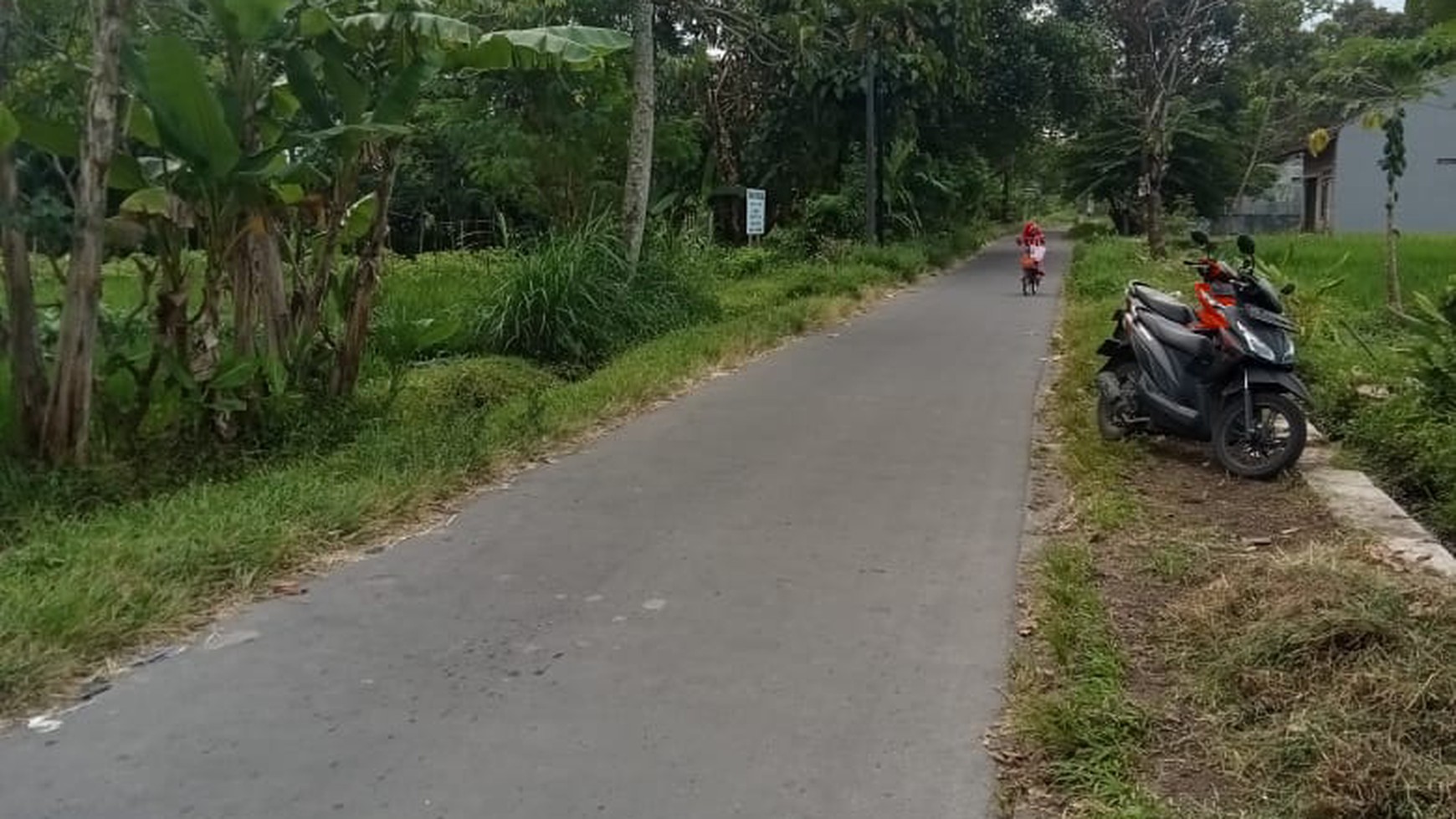 Tanah Sawah Seluas 978 Meter Persegi Di Dekat Jl Kebon Agung Sleman