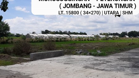  Dijual 1,5 Ha Tanah Kavling Morosuggingan - Peterongan- Jombang - Jawa Timur- Akses Jalan Aspal - SHM