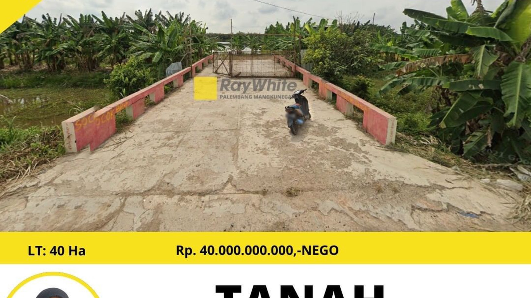 Jual tanah murah 