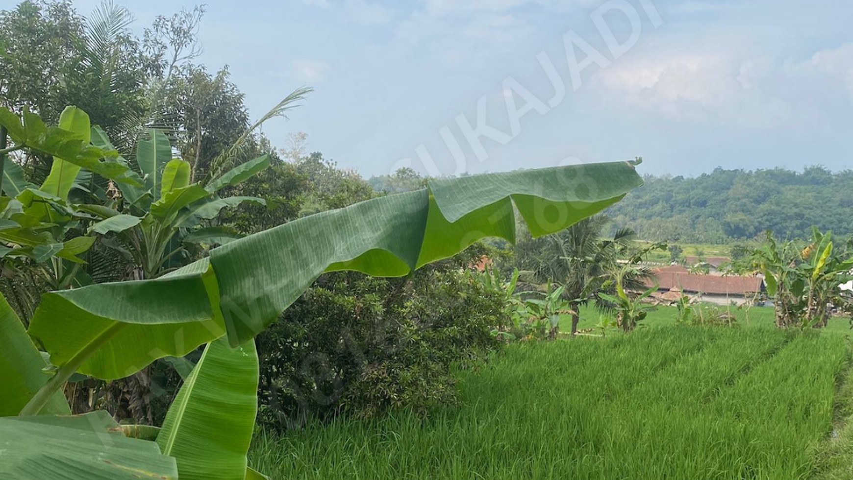 Tanah di jln lkr wado-sumedang