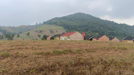 Tanah 4,5 Hektar di Sabah Balau Bandar Lampung