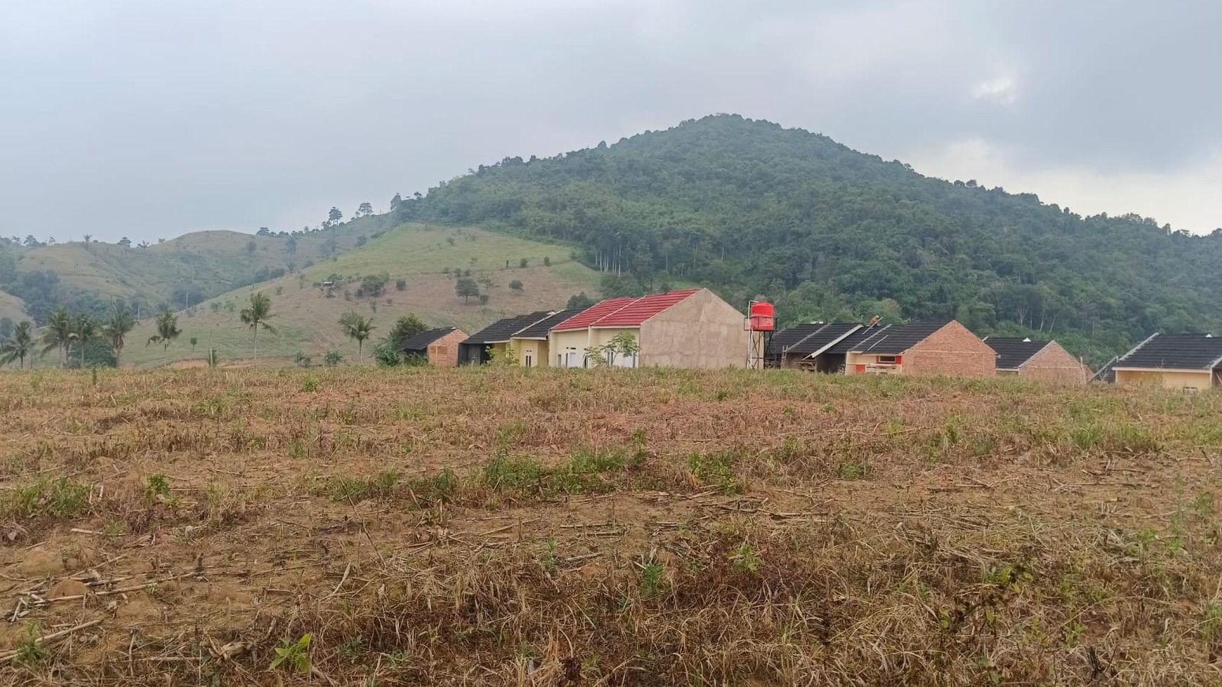 Tanah 4,5 Hektar di Sabah Balau Bandar Lampung