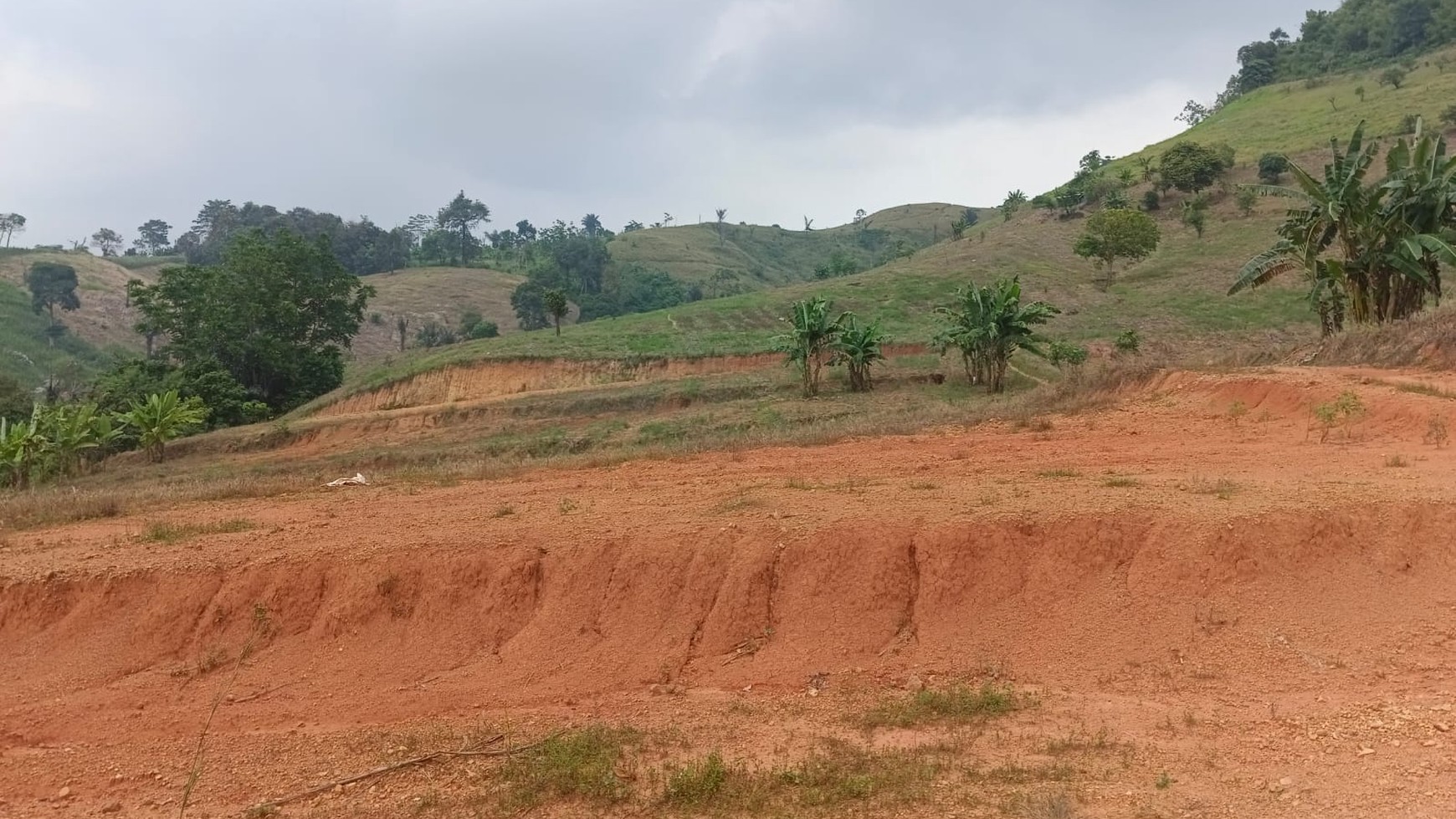 Tanah 4,5 Hektar di Sabah Balau Bandar Lampung