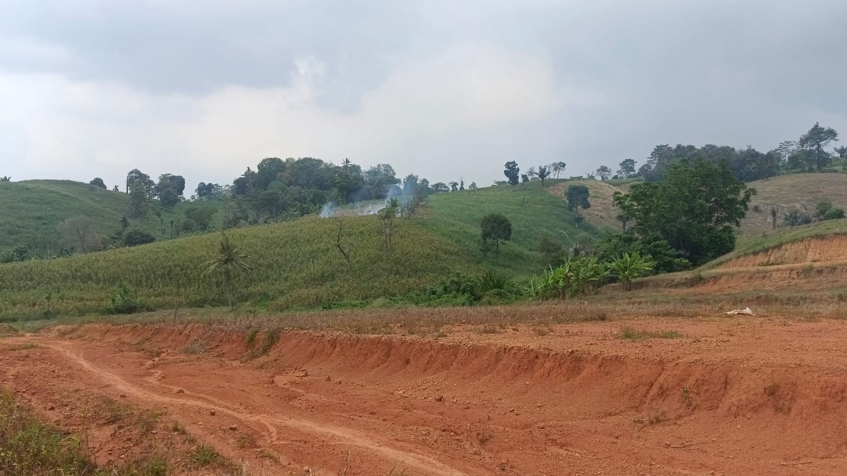 Tanah 4,5 Hektar di Sabah Balau Bandar Lampung