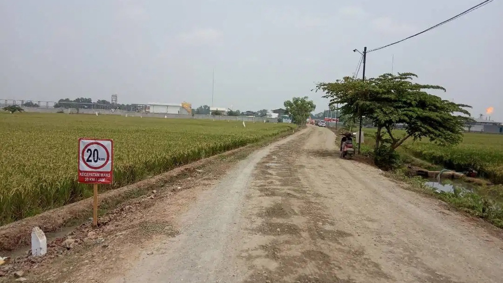 Dijual Kavling Sawah dan Cocok Untuk Prospek Perumahan @Desa Plawad, Karawang Timur