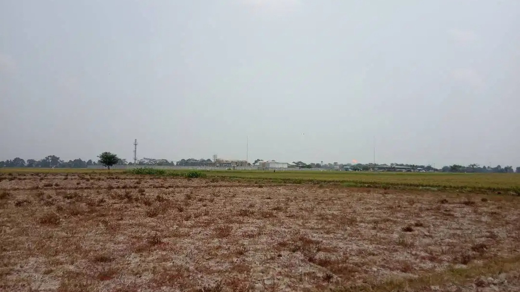 Dijual Kavling Sawah dan Cocok Untuk Prospek Perumahan @Desa Plawad, Karawang Timur