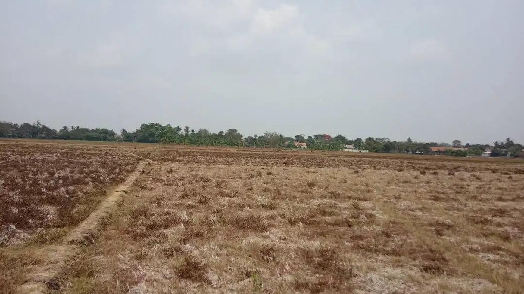 Dijual Kavling Sawah dan Cocok Untuk Prospek Perumahan @Desa Plawad, Karawang Timur