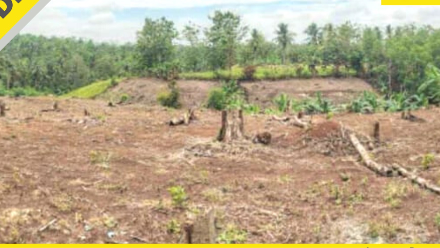 TANAH MURAH SIAP BANGUN DI JATI AGUNG LAMPUNG SELATAN