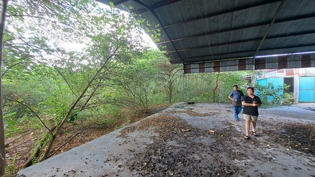 TANAH LUAS DI JALAN MAGELANG YOGYAKARTA