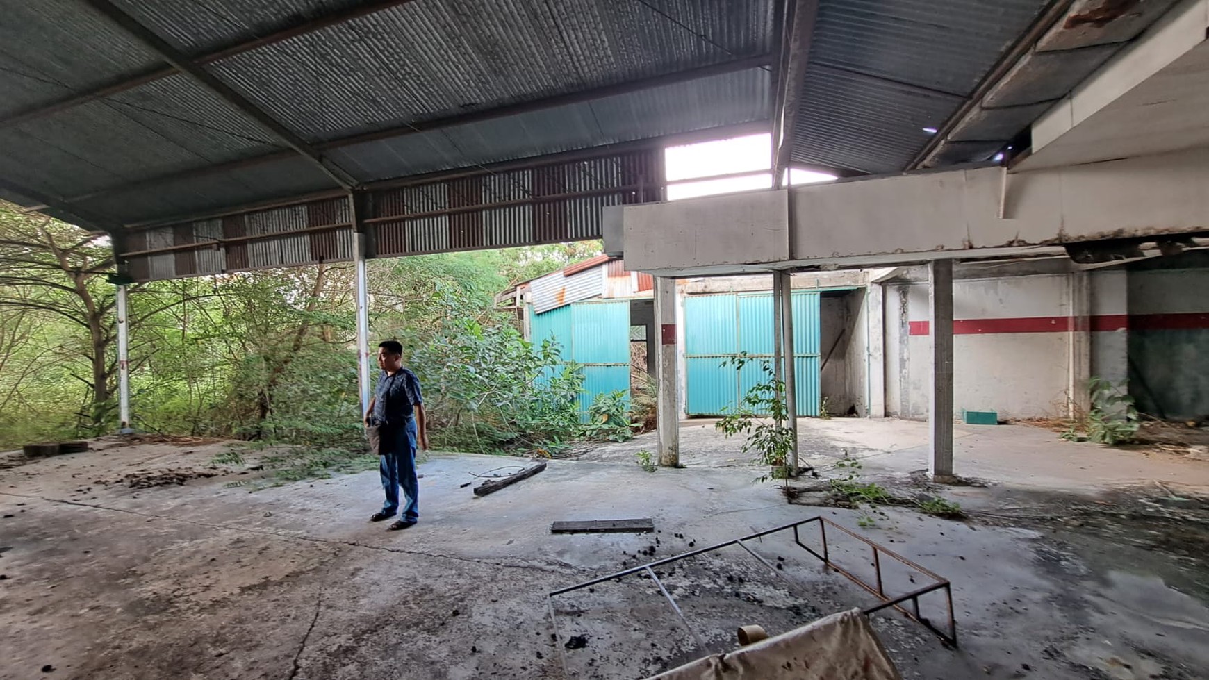 TANAH LUAS DI JALAN MAGELANG YOGYAKARTA