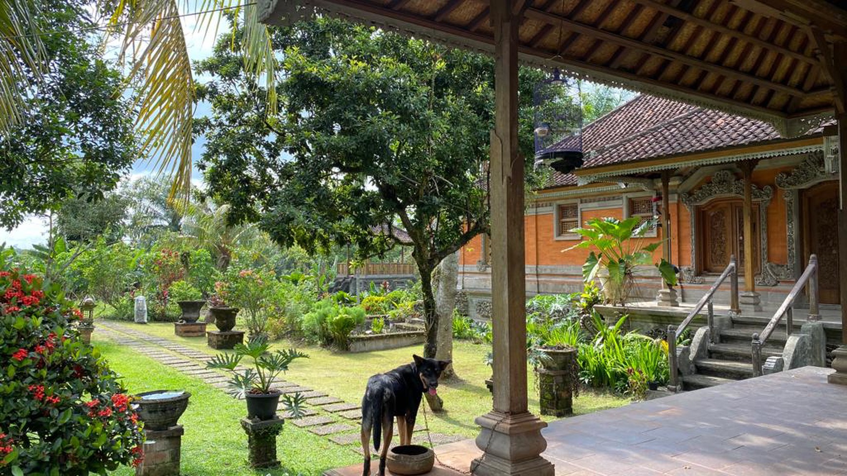 RUMAH/VILLA BALINESE STYLE DENGAN SWIMMING POOL DI BOGOR