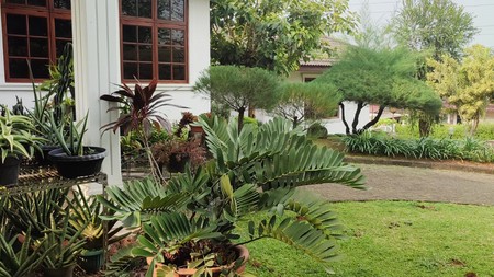 Rumah Bagus Di Jl Rambutan, Cinere Depok