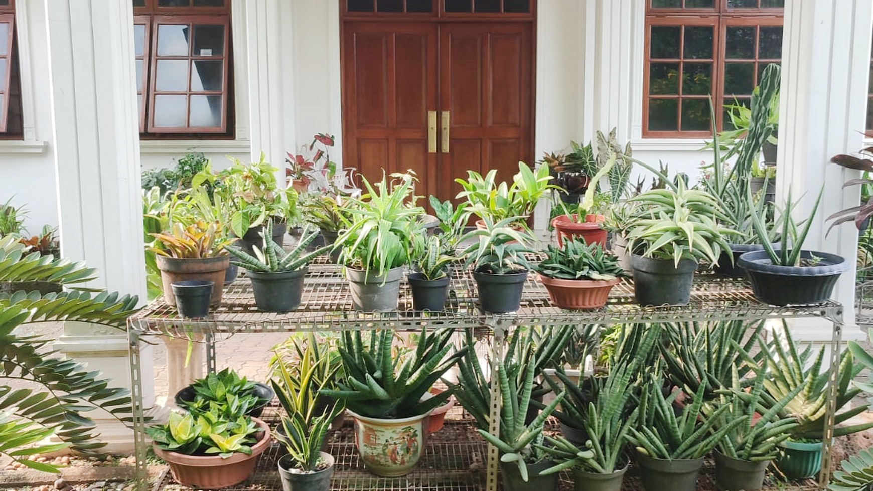 Rumah Bagus Di Jl Rambutan, Cinere Depok