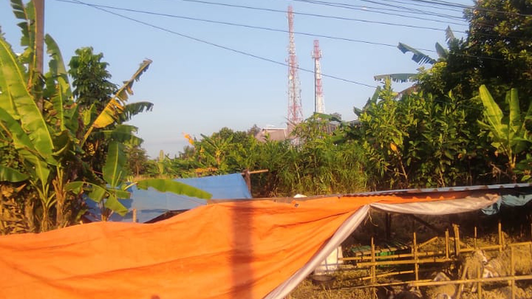 Tanah Sawah Luas Diatas 1000 meter Di Jl Kaliurang Km 12 Ngaglik Sleman