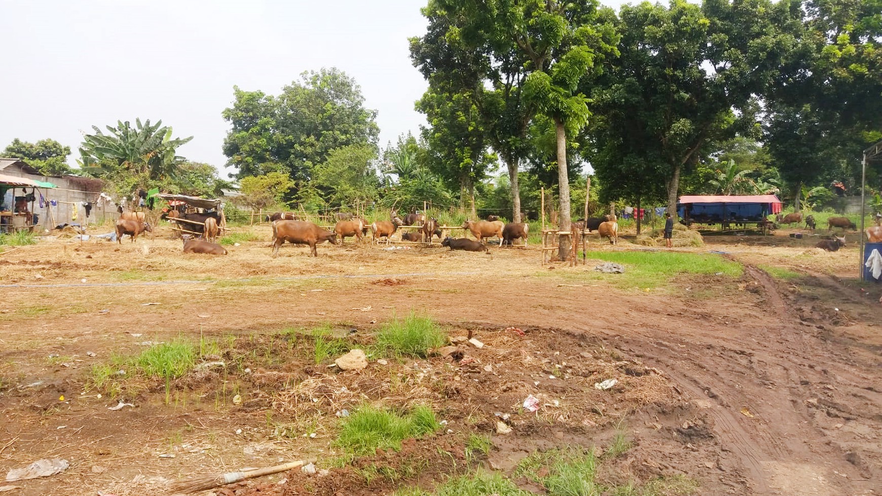 Kavling Siap Bangun Di Jl Ciater Raya, BSD Tangerang Selatan