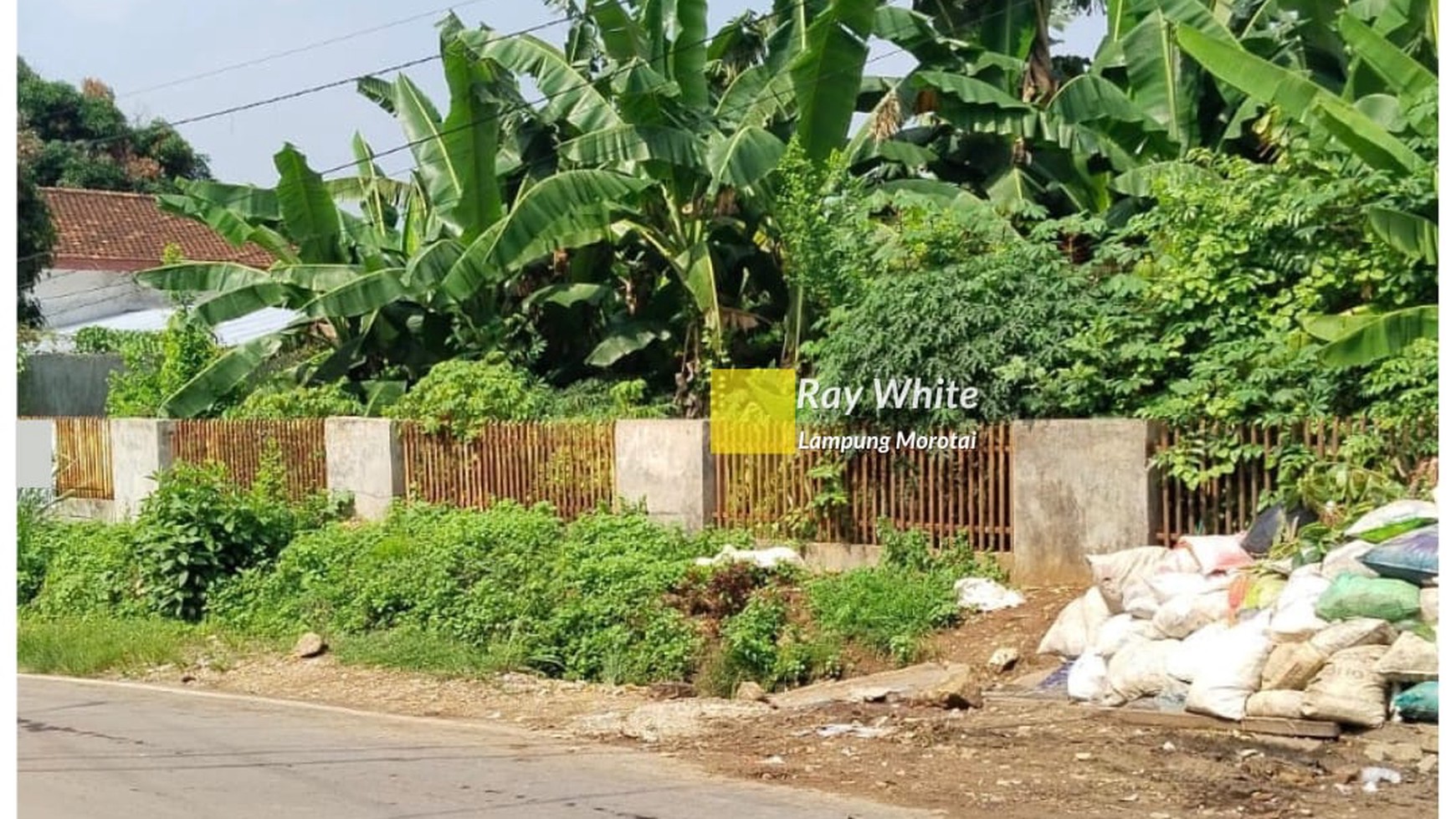 TANAH TELUK BETUNG UTARA