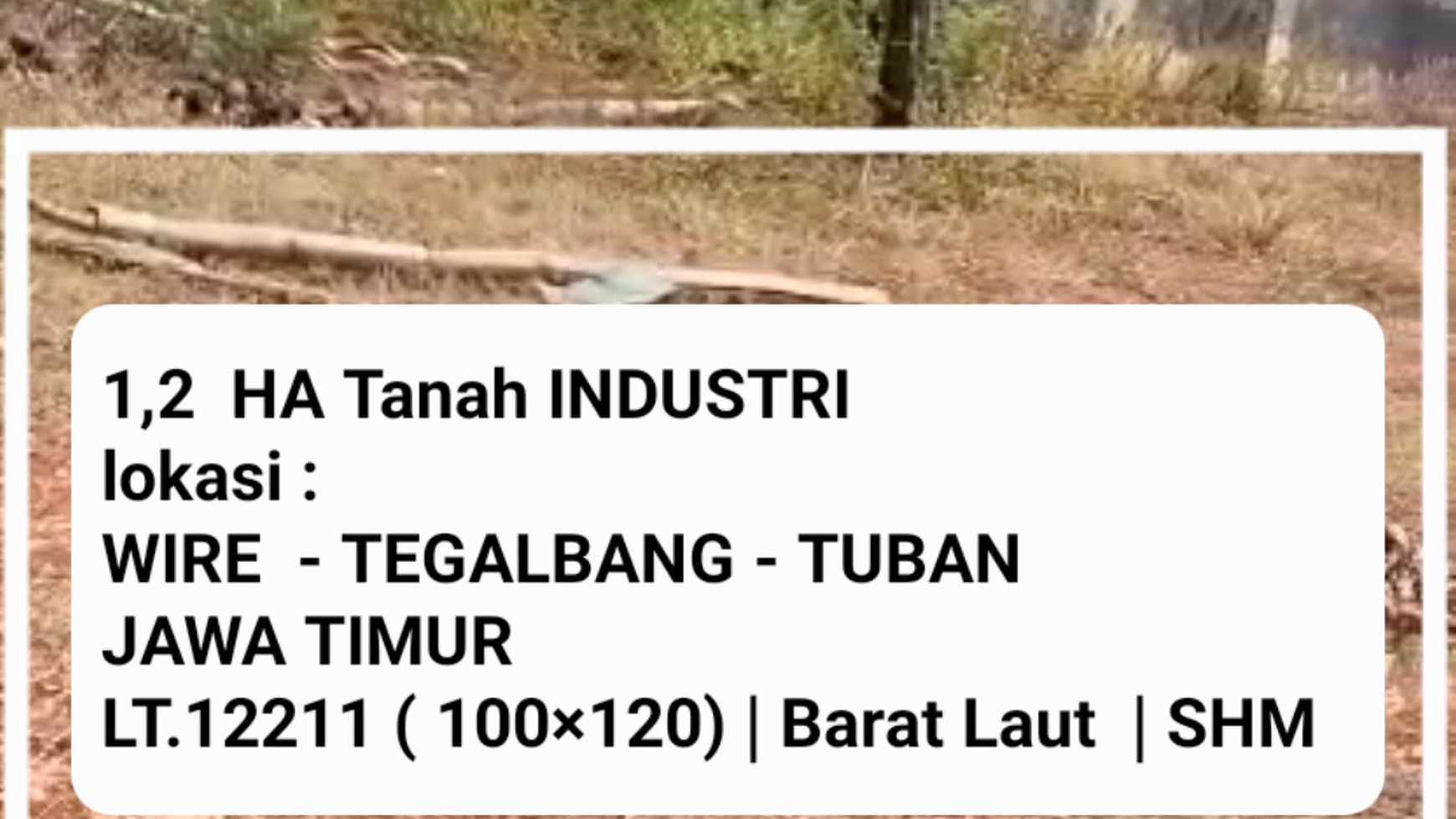 1,2 Ha Tanah Industri  Jalan Wire - Tegalbang - Tuban - Jawa Timur - Strategis Nol Jalan Propinsi 