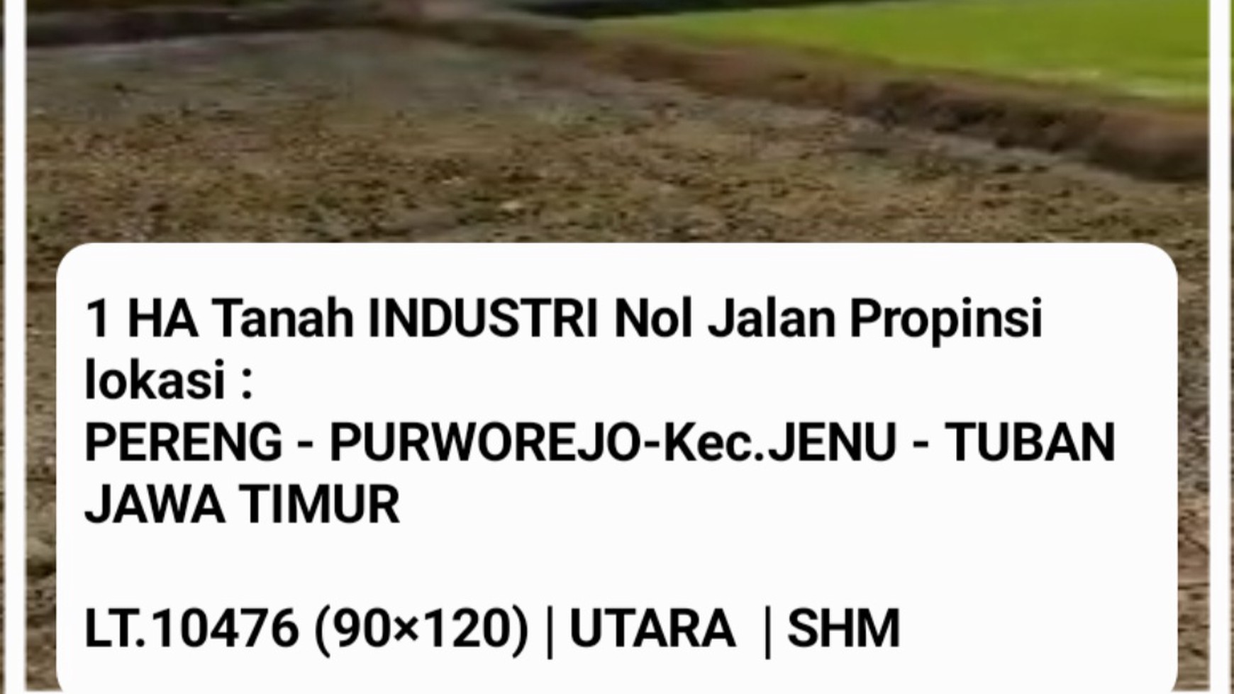 1 Ha Tanah Industri Pereng - Jenu - Tuban - Jawa Timur  - Nol Jalan Raya Pantura - SHM