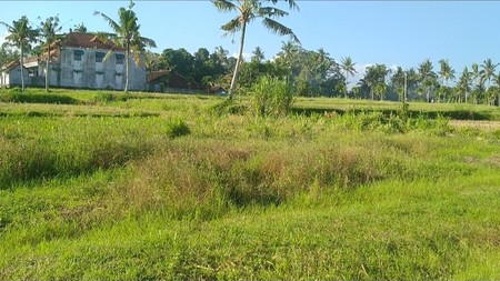 400 Sq m Freehold Land with Rice Field View for Sale 20 Minutes from Central Ubud