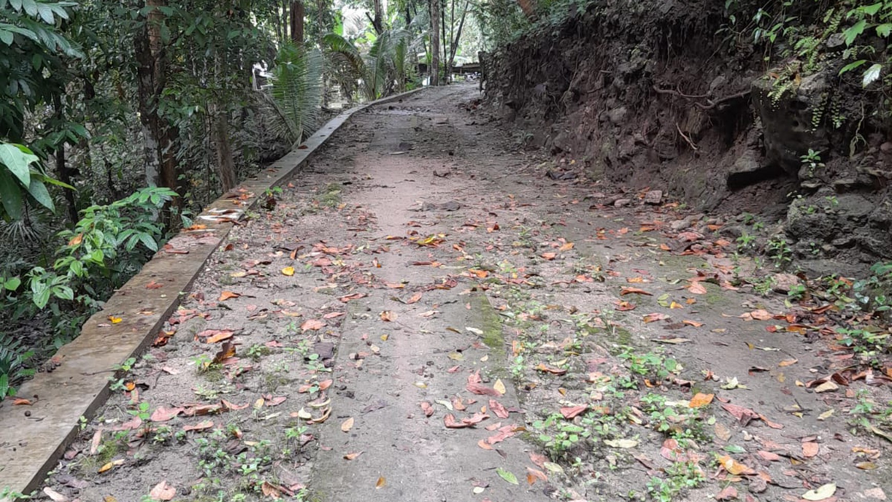 TANAH PEKARANGAN DI PAJANGAN BANTUL