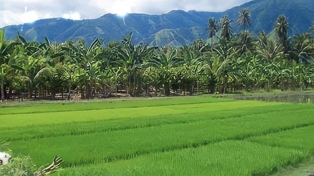 Tanah Startegis Raya Cepu