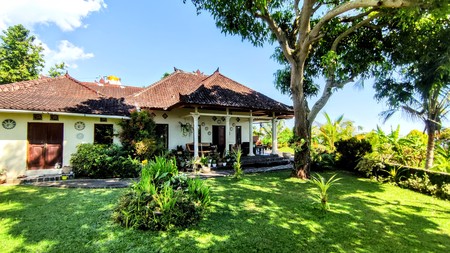 FREEHOLD TWO BEDROOMS HOUSE IN NORTH BALI