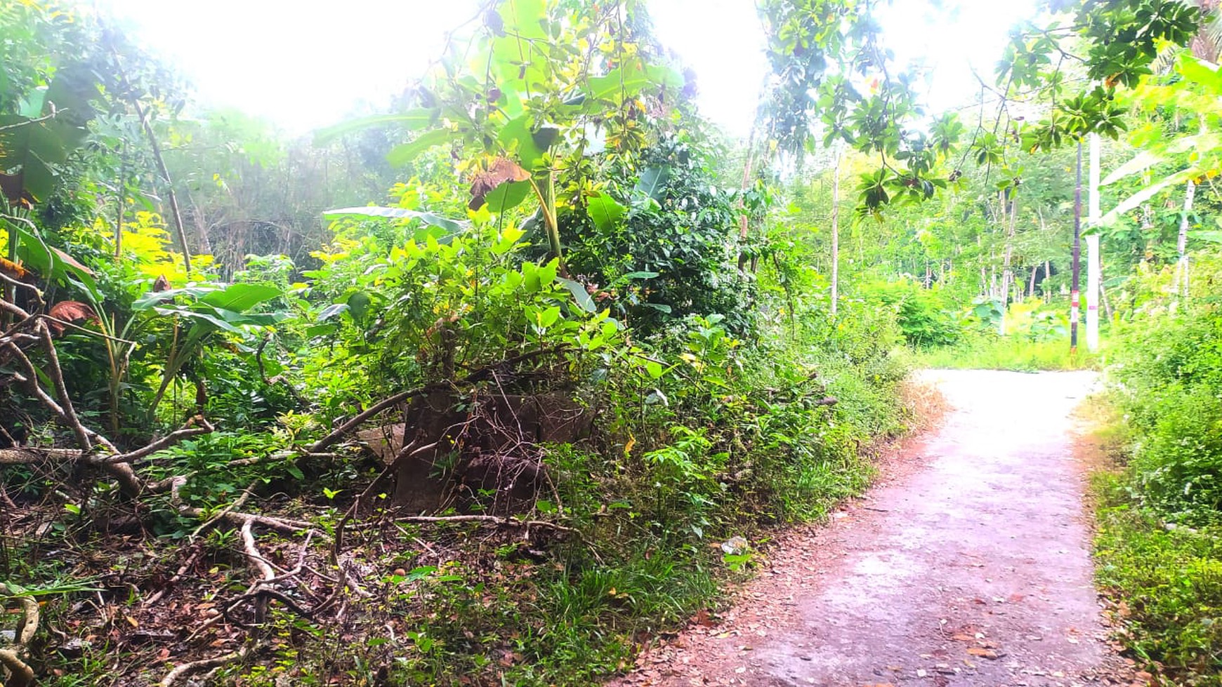 Tanah Luas 211 meter di Bantul