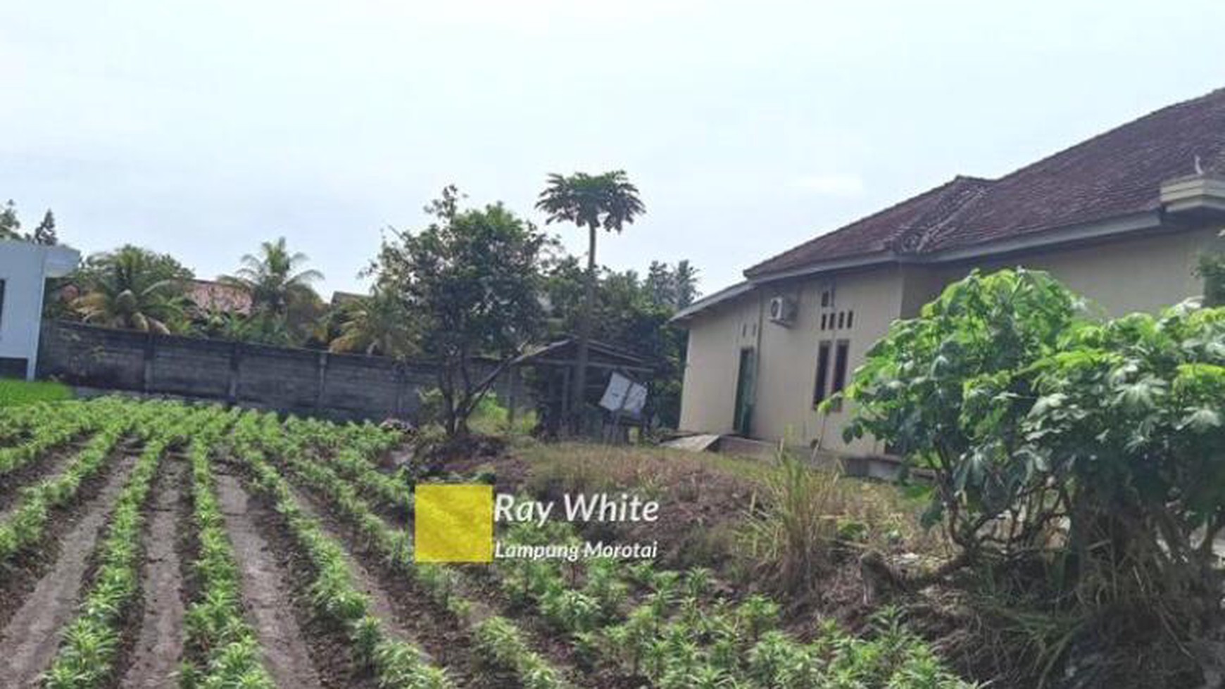 Rumah dengan tanah luas di Purnawirawan Gunung Terang Bandarlampung