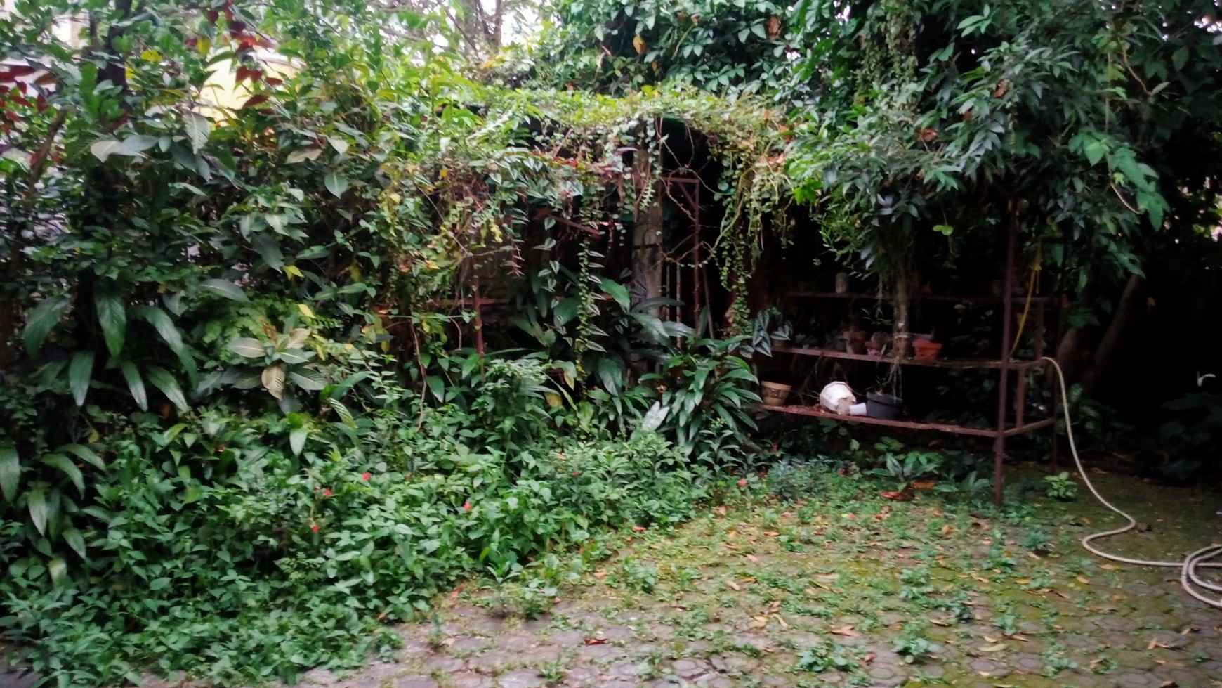 Rumah Mewah Classic di Sayap Dago, Bandung Kota