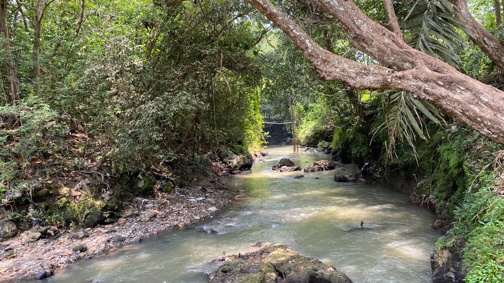 Tanah Pekarangan di Sedayu Bantul 