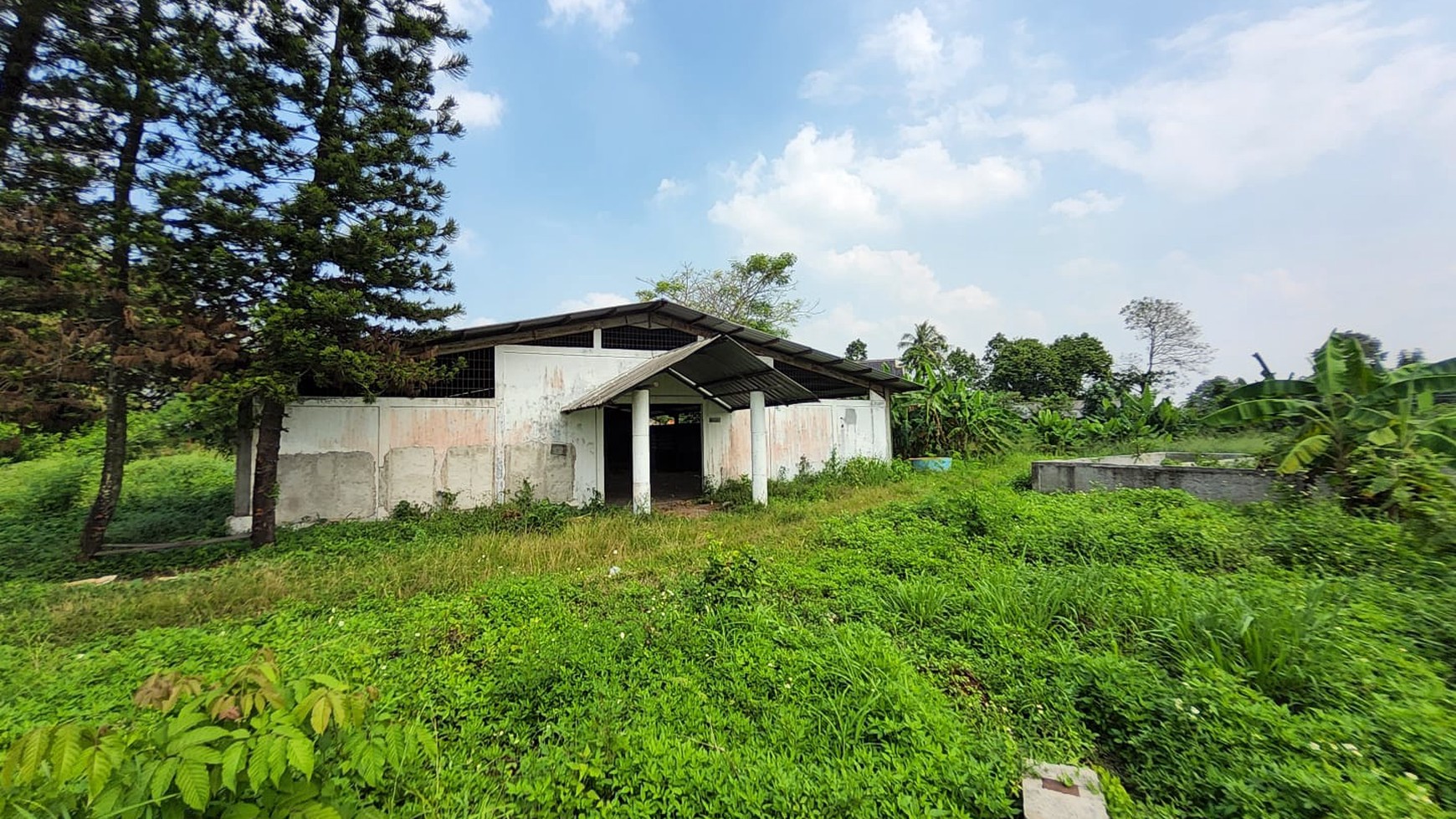 Kavling Di Lokasi Strategis Jl Pemuda, Gunung Sindur, Bogor