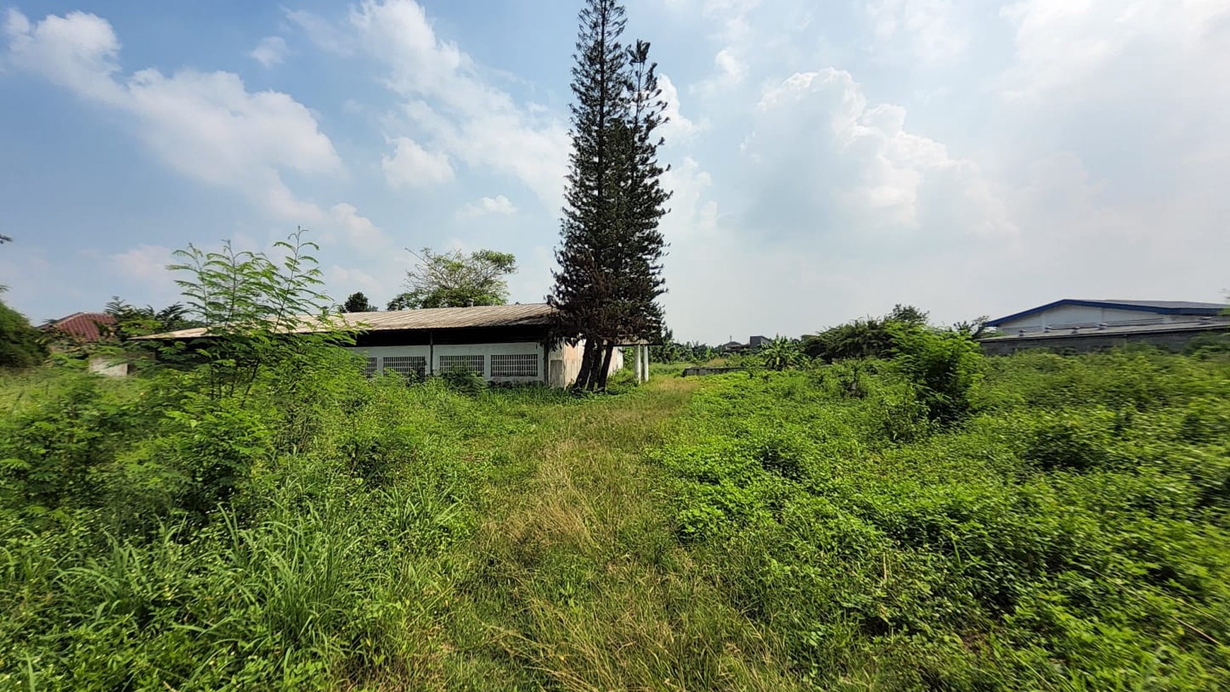 Kavling Di Lokasi Strategis Jl Pemuda, Gunung Sindur, Bogor