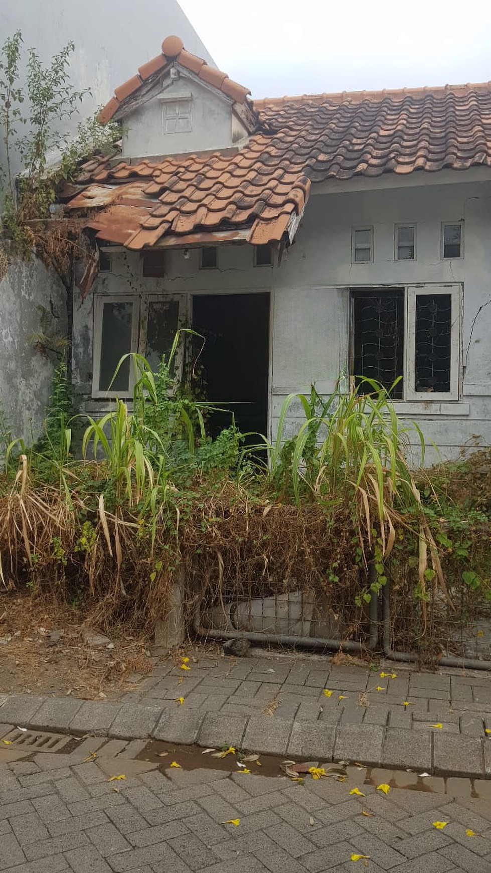 Rumah Hitung Tanah Bukit Palma Citraland blok C  - Surabaya  - Lokasi Bagus - Bentuk Kotak - SHM