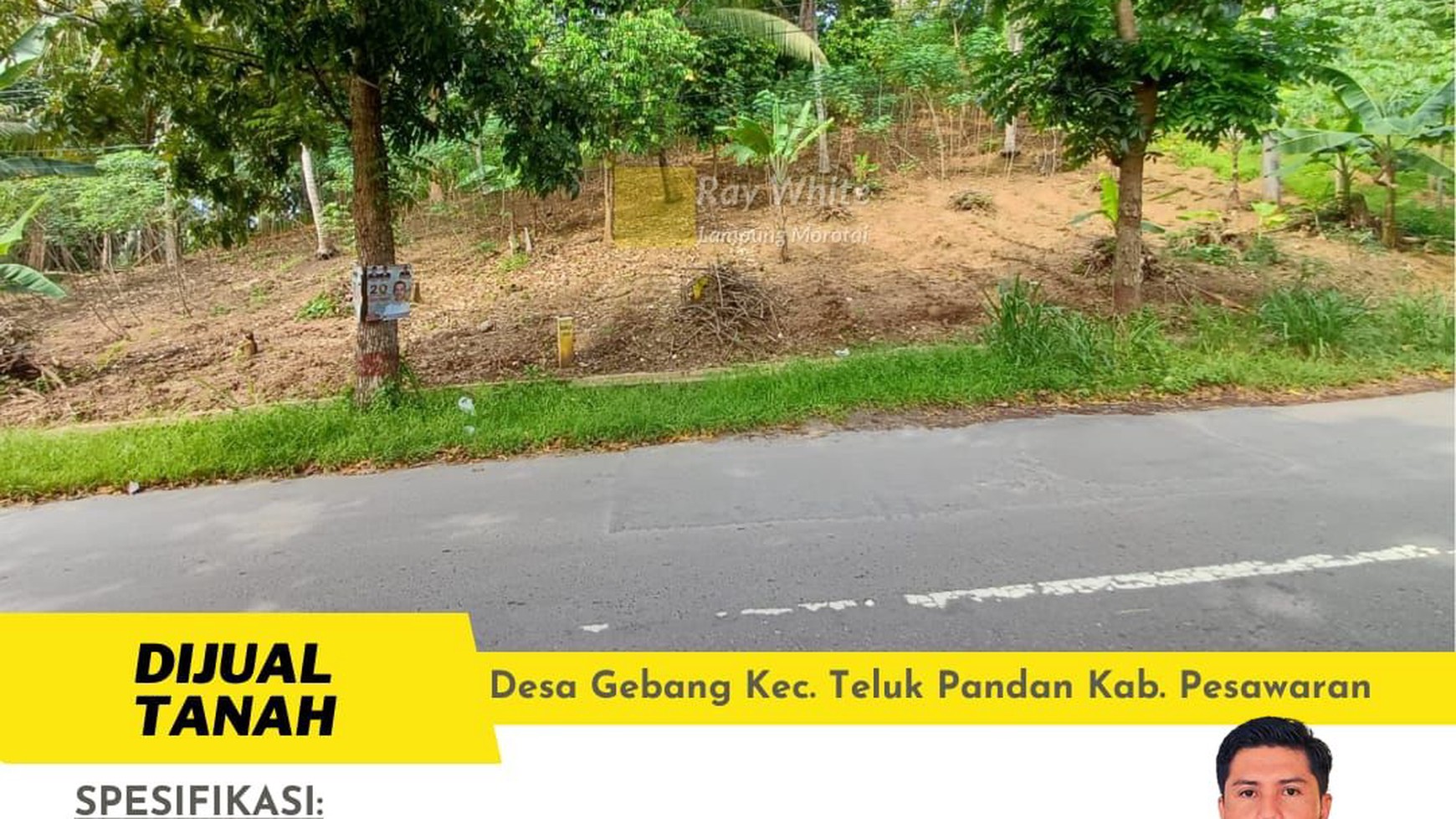 Tanah di Pinggir Jalan Raya Desa Gebang Pesawaran